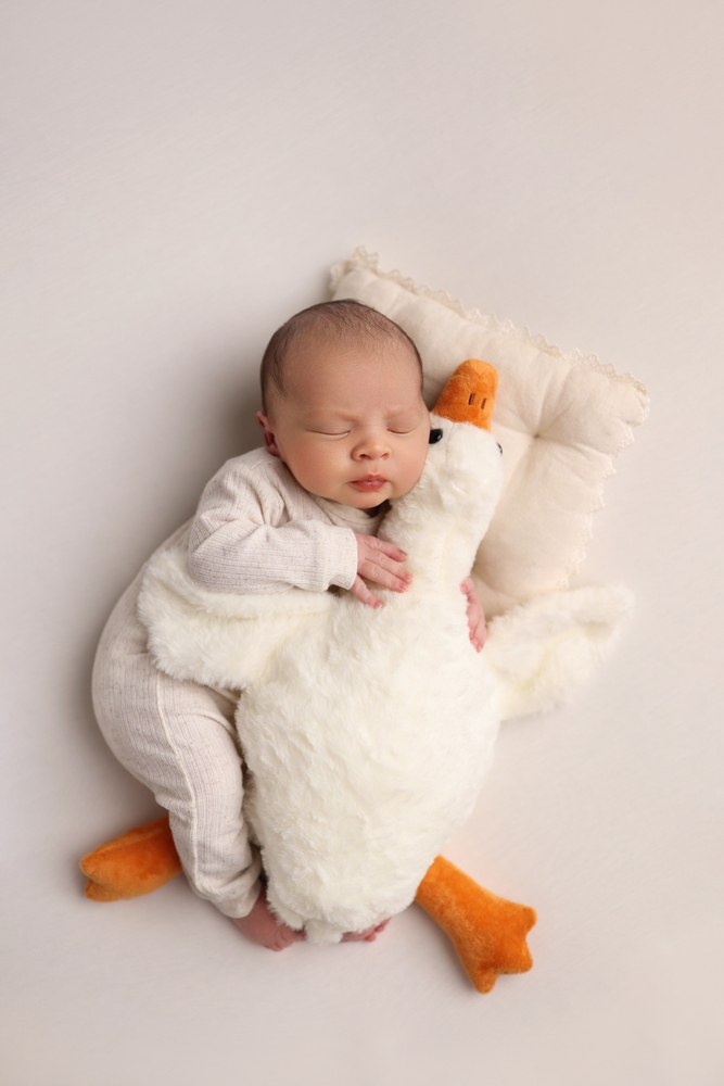 https://newtonhopepartners.org/wp-content/uploads/2024/06/shutterstock_2367784751.jpg